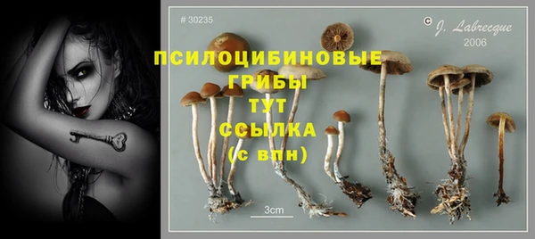 амф Армянск