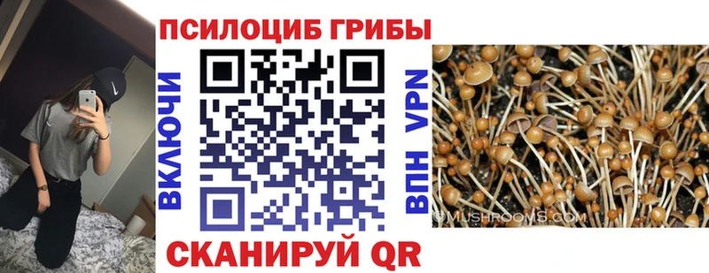 Псилоцибиновые грибы Magic Shrooms  Купить  Соль-Илецк 